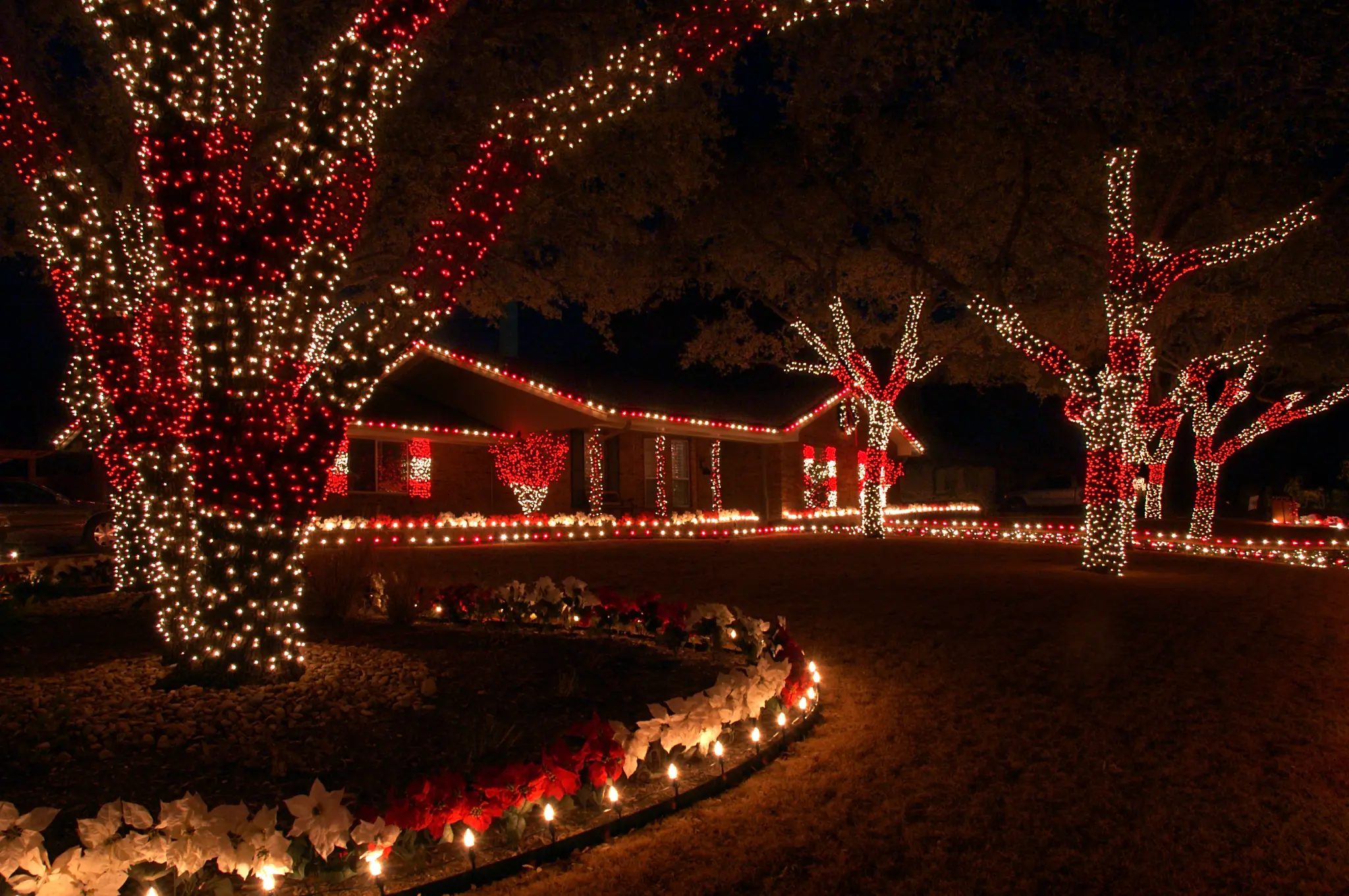 Home, yard and mature trees covered in warm red and white Christmas lights